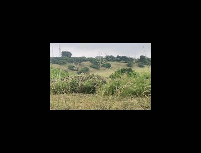 BUSINESS FOR SALE IN CRAIGIEBURN